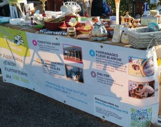 image vide-grenier Fleur Blanche